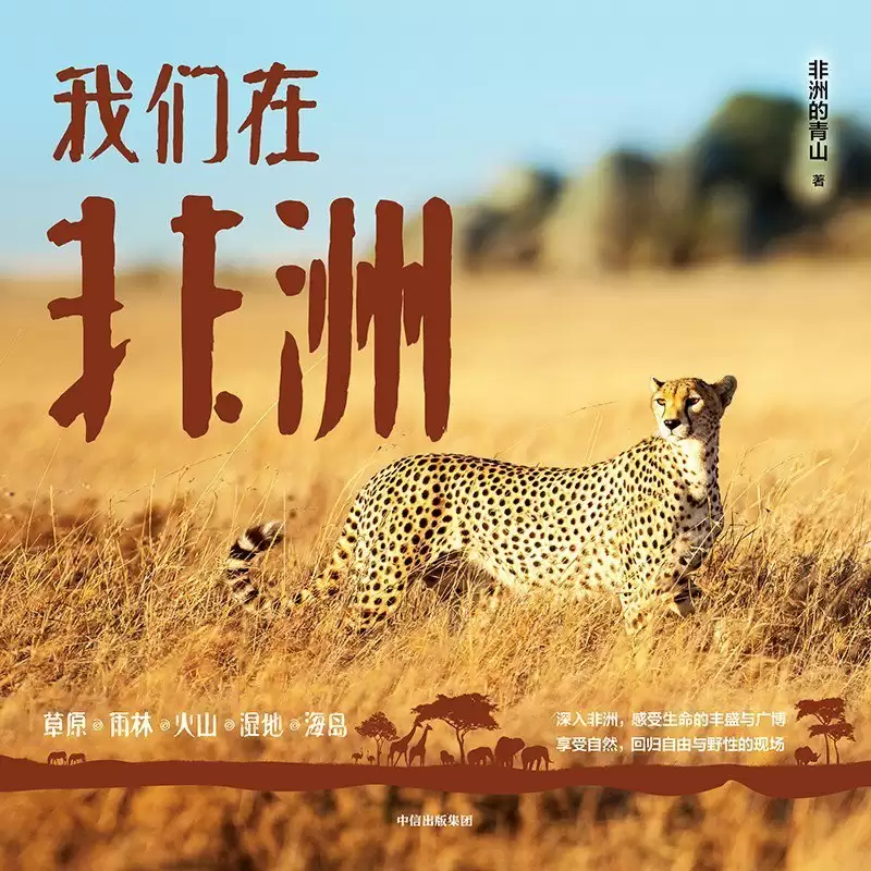 资源《《我们在非洲》非洲的青山[pdf]格式》的海报