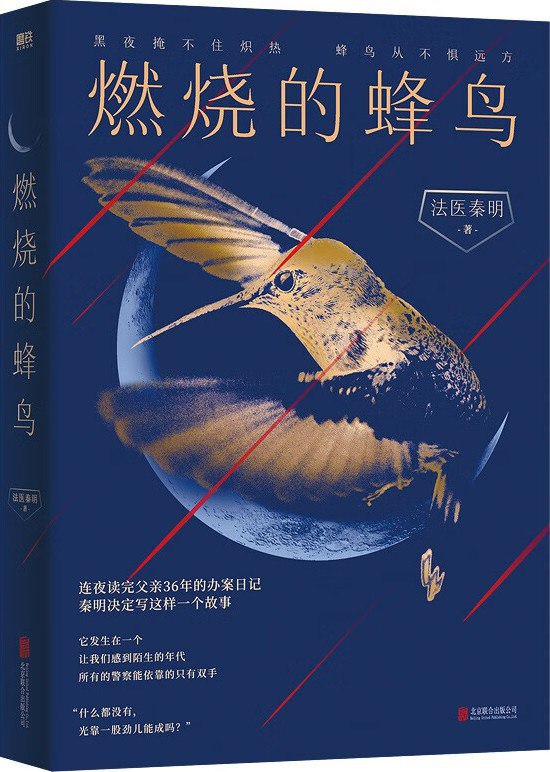 资源《燃烧的蜂鸟 [小说文学] [pdf+全格式]》的海报