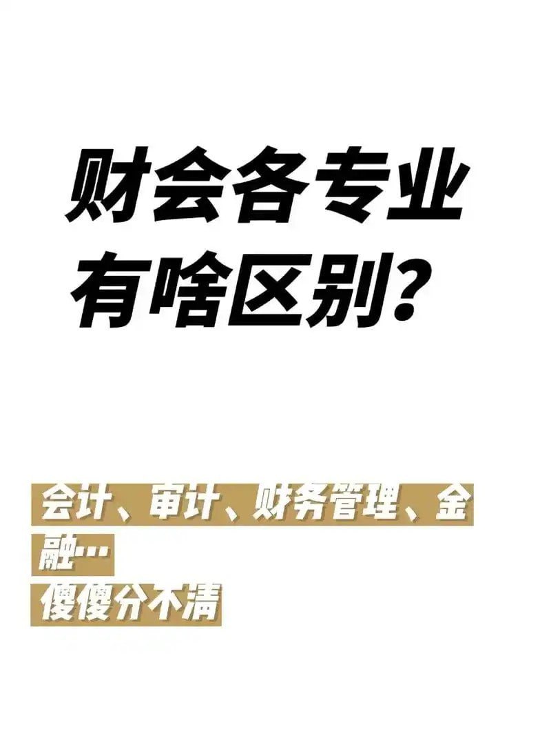 资源《《2024CPA全科》会计、审计、财管、战略 速记21天 抢分21天[pdf]》的海报