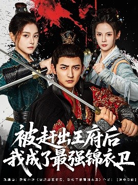 资源《被赶出王府后我成了最强锦衣卫》的海报