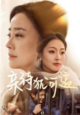 资源《亲待犹可追》的海报