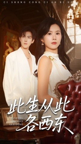 资源《此生从此各西东》的海报