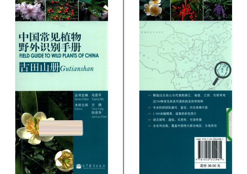 资源《《中国常见植物野外识别手册》1500余幅精美 常见植物鉴别[pdf]》的海报