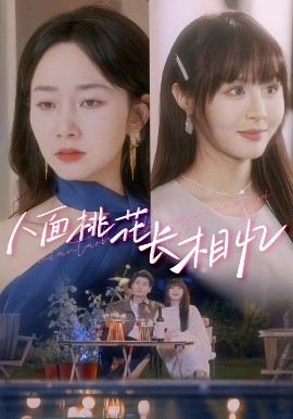 资源《人面桃花长相忆》的海报
