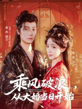 资源《乘风破浪，从大婚当日开始》的海报