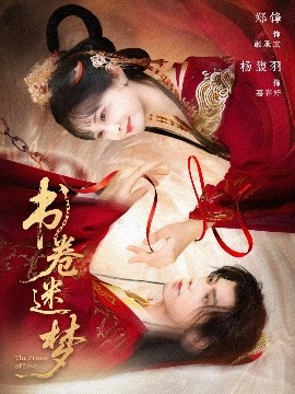 资源《书卷迷梦》的海报