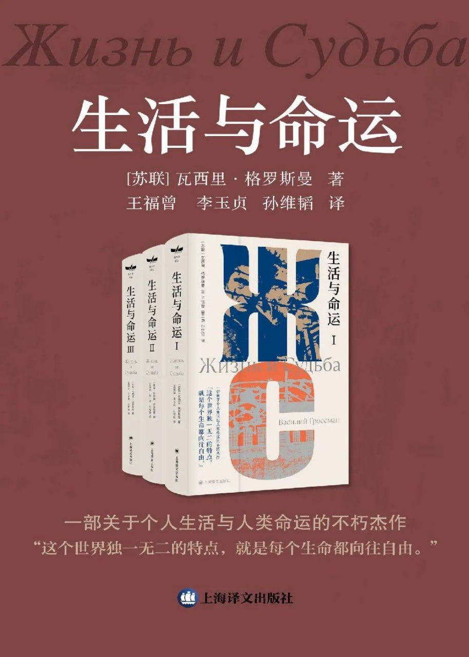资源《《生活与命运》（全景再现苏联卫国战争时期波澜壮阔的历史画卷)》的海报