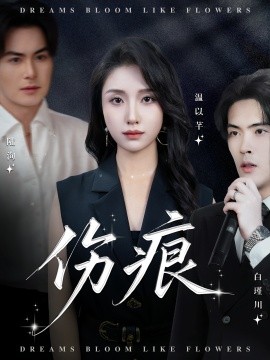 资源《伤痕》的海报