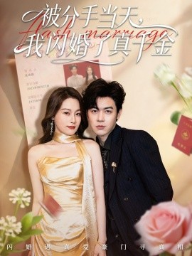 被分手当天，我闪婚了真千金＆刚分手被美女姐姐拉去领证