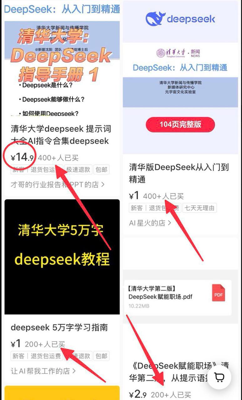 资源《爆肝整理！清华大学DeepSeek全套教程+学术神器+职场逆袭指南丨靠信息差可日入五张》的海报