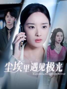 资源《尘埃里遇见极光》的海报