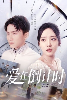 资源《爱在倒计时》的海报