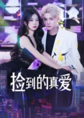 资源《捡到的真爱》的海报