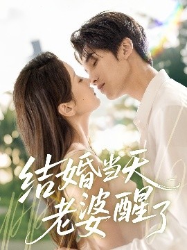 资源《结婚当天老婆醒了》的海报