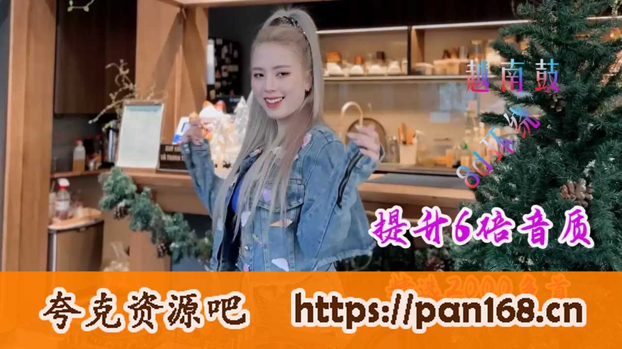 资源《车载精选2000多首，专业调音6倍音质合集 wav/mp3》的海报