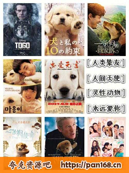 资源《狗狗电影大合集感人至深「16部」》的海报