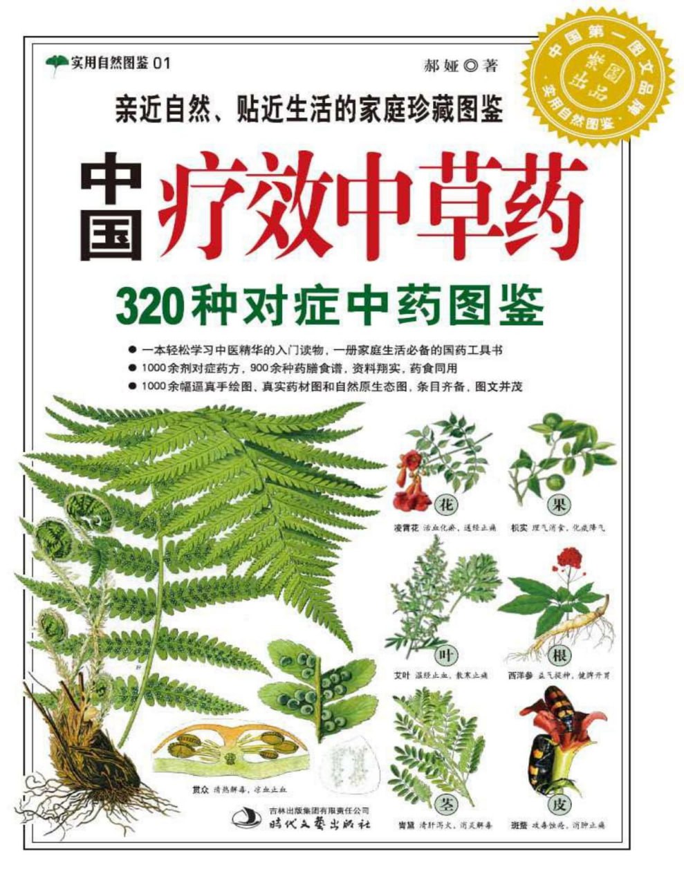 资源《《中国疗效中草药320种对症中药图鉴 》实用自然图鉴》的海报