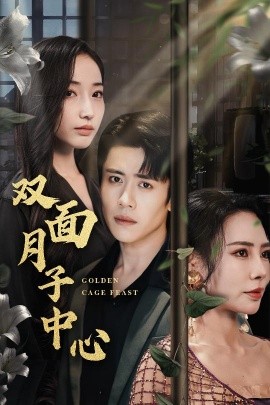 资源《双面月子中心》的海报