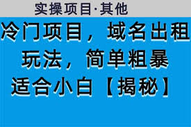 资源《冷门项目，域名出租玩法，简单粗暴适合小白【揭秘】》的海报