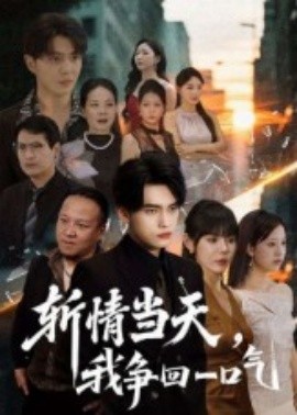 资源《斩情当天，我争回一口气》的海报