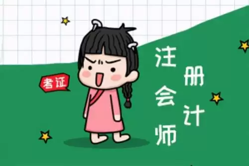 资源《最新2024初级+中级+注册会计资料合集》的海报