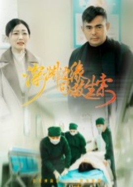 资源《深渊边缘的救生索》的海报