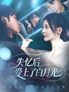资源《失忆后爱上了白月光》的海报