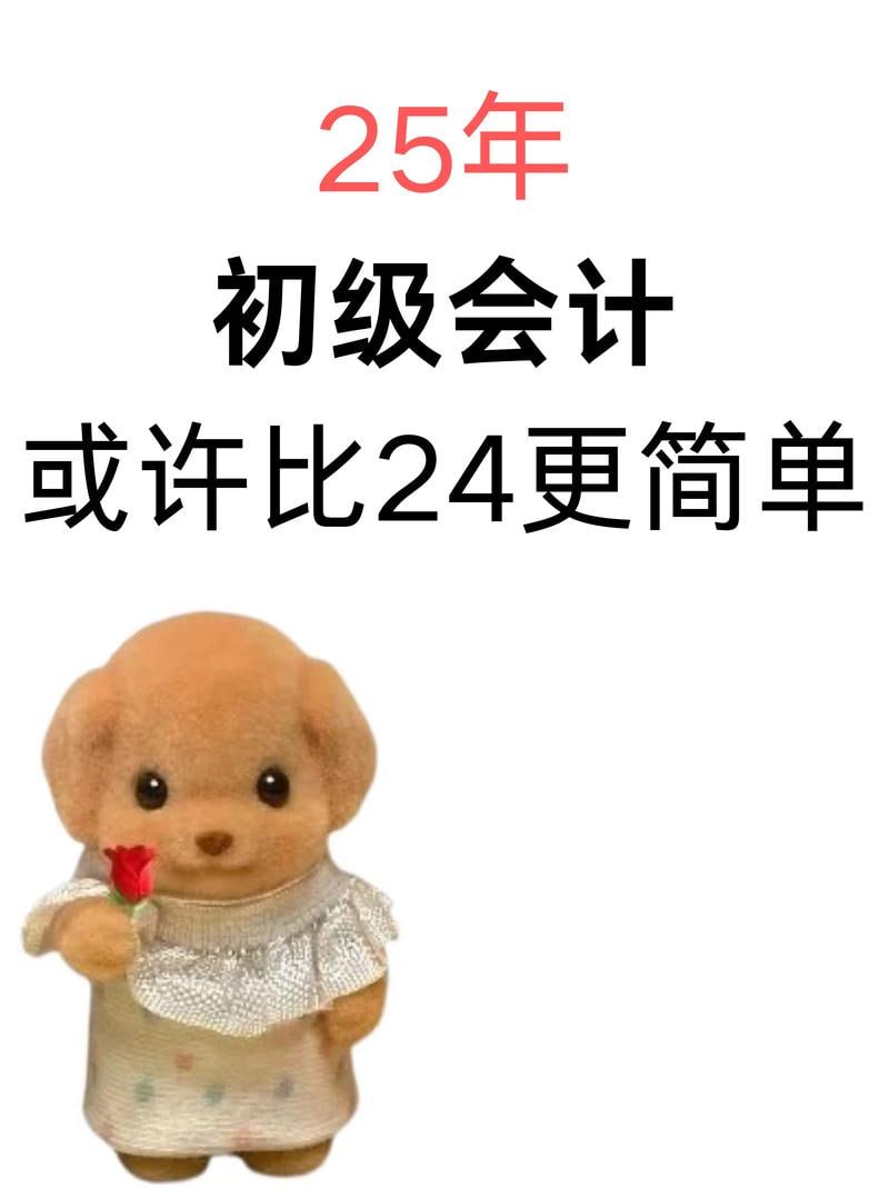 资源《25年初级会计【必刷题套卷】》的海报