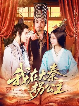资源《我在大秦拐公主》的海报