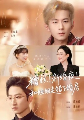 糟糕！新婚夜！和姐姐走错了婚房＆糟糕新婚夜和姐姐走错了婚房