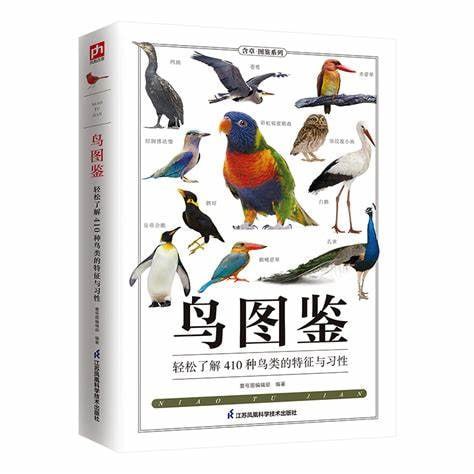 资源《《鸟类百年图鉴》》的海报