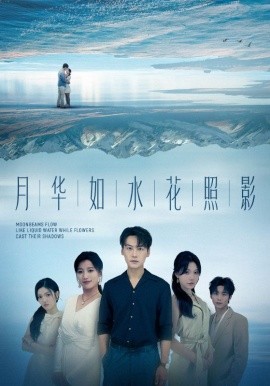 资源《月华如水花照影》的海报