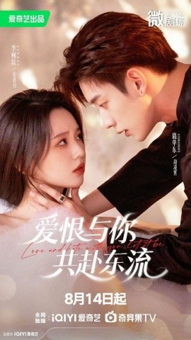 资源《爱恨与你共赴东流》的海报