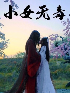 资源《小女无毒》的海报