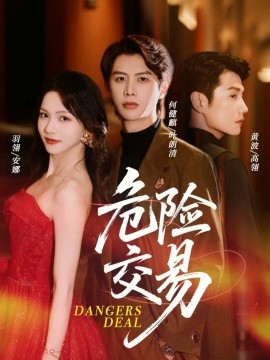 资源《危险交易》的海报