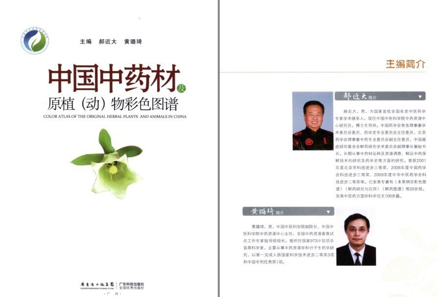 资源《《中国中药材及原植(动)物彩色图谱》中药爱好者必备收藏 普及中药材[pdf]》的海报