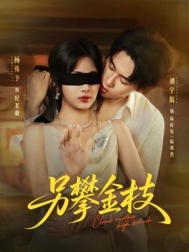 资源《另攀金枝》的海报