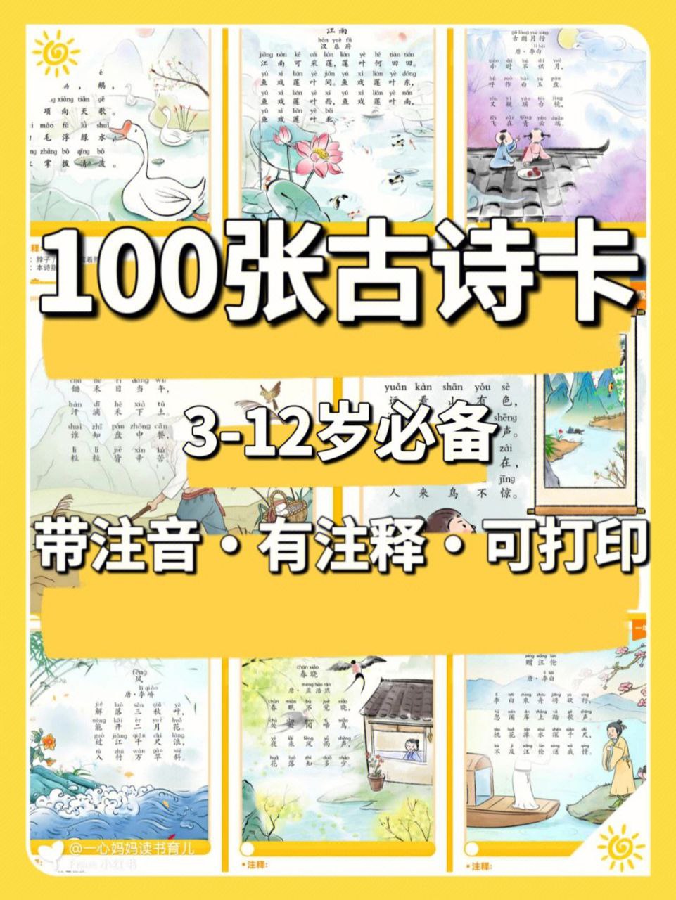 资源《荷小鱼《100节古诗知识卡片》》的海报