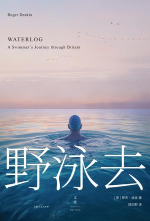 资源《野泳去 [﻿小说文学] [pdf+全格式]》的海报
