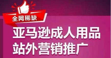 资源《全网稀缺！亚马逊成人用品站外营销推广，教你引爆站外流量，开启爆单模式》的海报