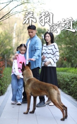 资源《养狗应有道》的海报