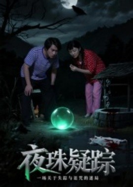 资源《夜珠疑踪》的海报