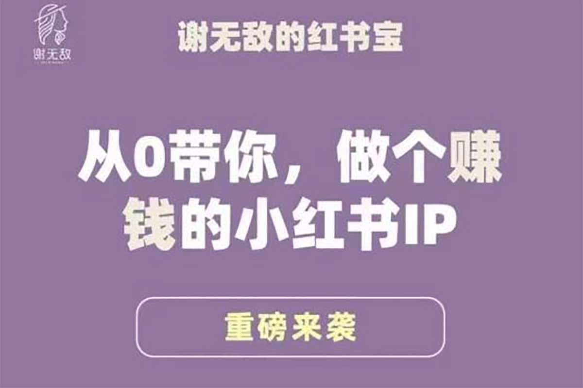 资源《谢无敌 小红书运营大宝典 从0带你做个赚钱的小红书IP》的海报