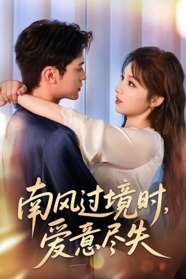 资源《南风过境时，爱意尽失》的海报