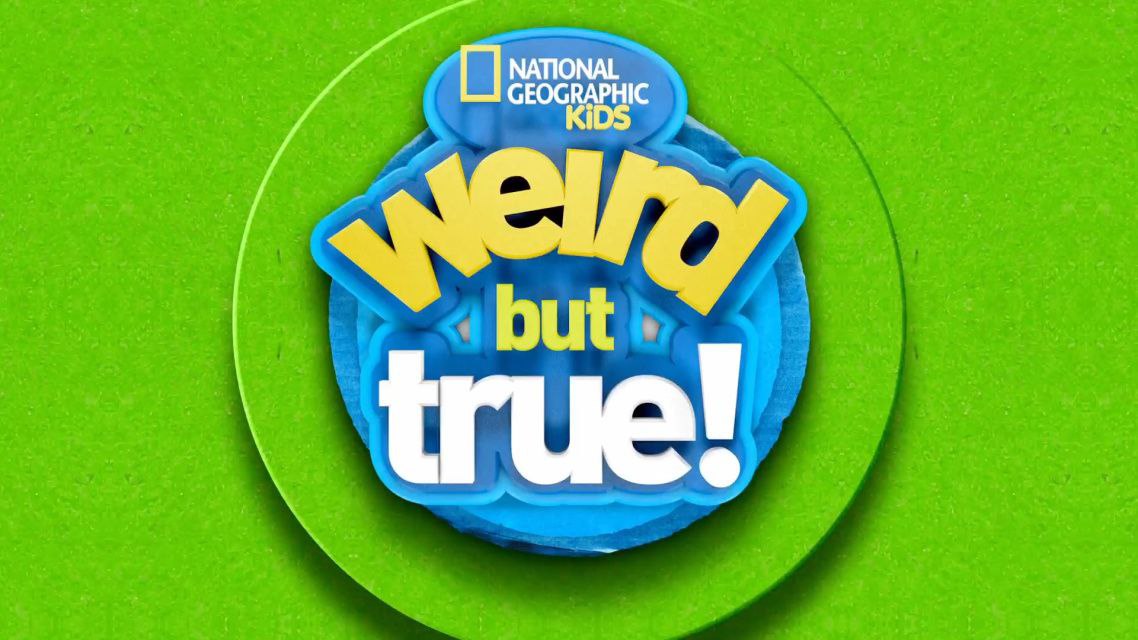 资源《趣味儿童科普节目《国家地理真实见闻  Weird But True! (1-3季) 》》的海报