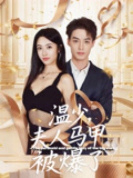 资源《温少，夫人马甲被爆了》的海报
