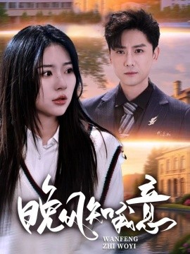 资源《晚风知我意》的海报