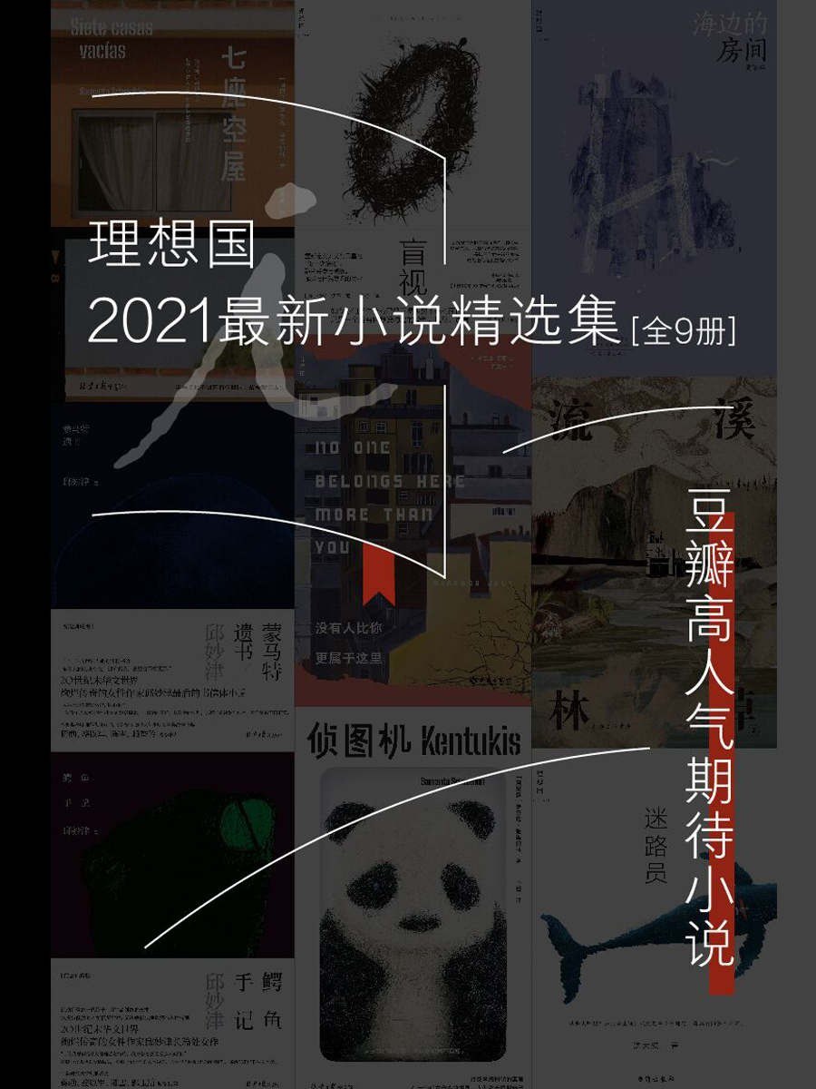 资源《《理想国2021最新小说精选集》全9册 豆瓣高人气小说[pdf]》的海报