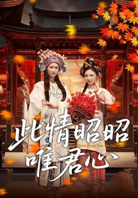 资源《此情昭昭唯君心》的海报