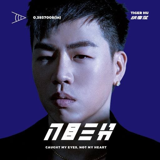 资源《胡彦斌 入目三分 FLAC 24bit 44khz.索尼精选》的海报
